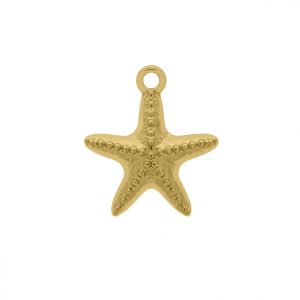 Pingente/berloque Estrela