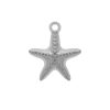 Pingente/berloque Estrela